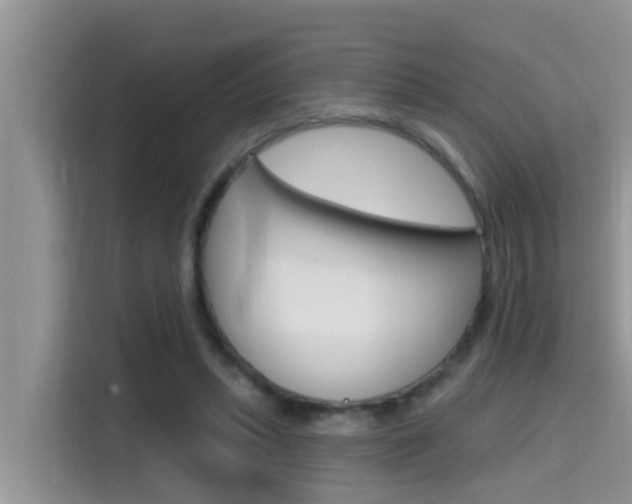 X0000115610447200911100935