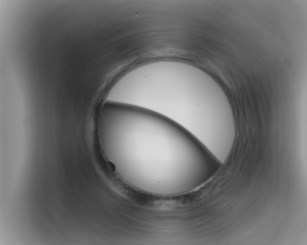 X0000115610448200911100935
