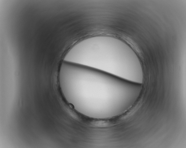 X0000115610449200911100935