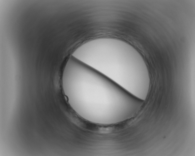 X0000115610450200911100935