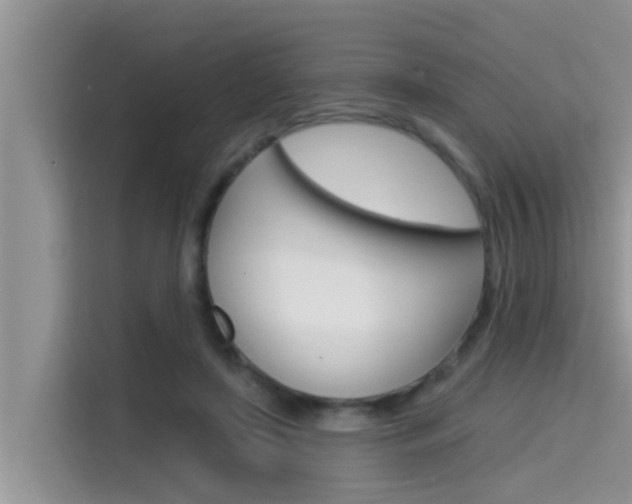 X0000115610451200911100935