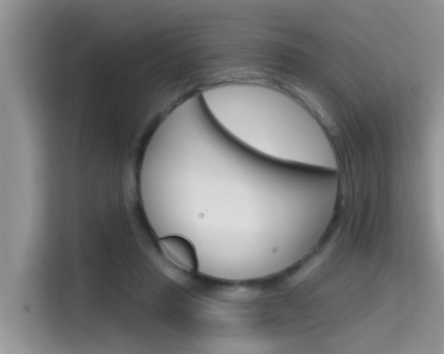 X0000115610453200911100935