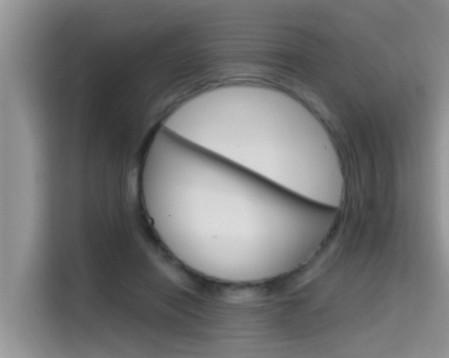 X0000115610454200911100935