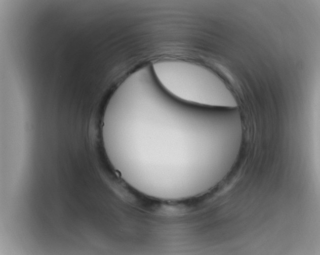 X0000115610455200911100935