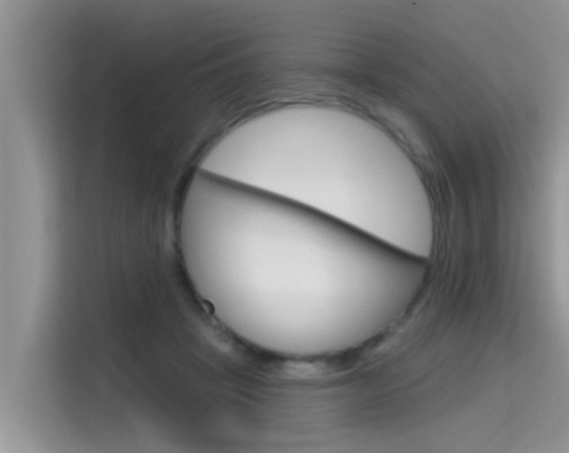 X0000115610457200911100935