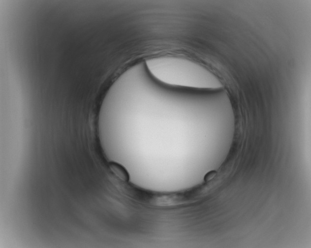 X0000115610461200911100935