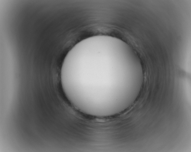 X0000115610464200911100935