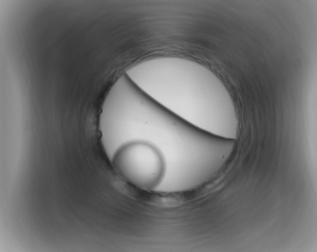 X0000115610466200911100935