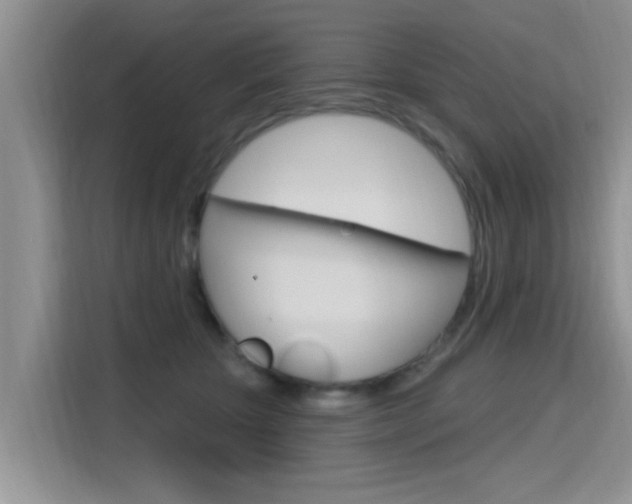 X0000115610467200911100935