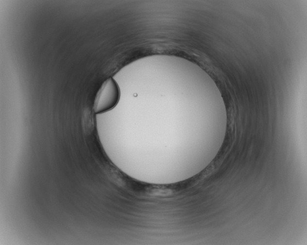 X0000115610471200911100935