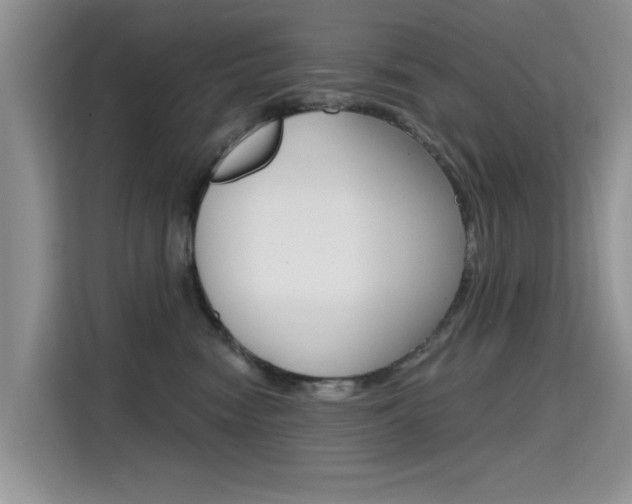 X0000115610474200911100935