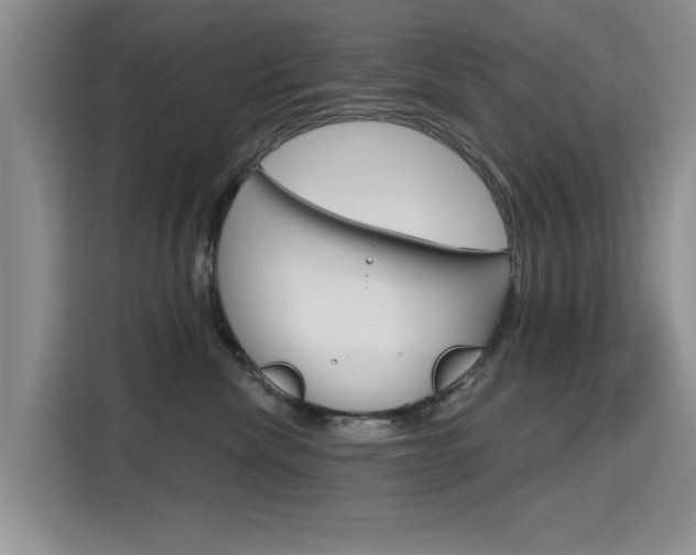 X0000115610476200911100935