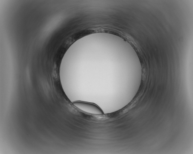 X0000115610477200911100935