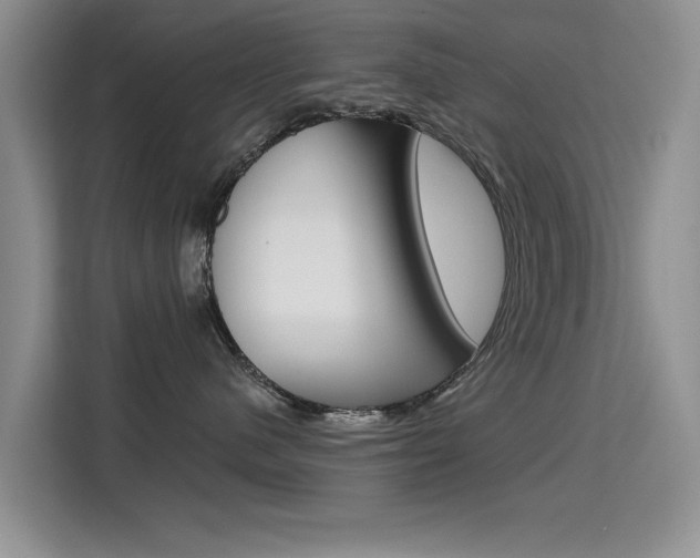 X0000115610480200911100935