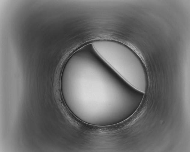 X0000115610481200911100935