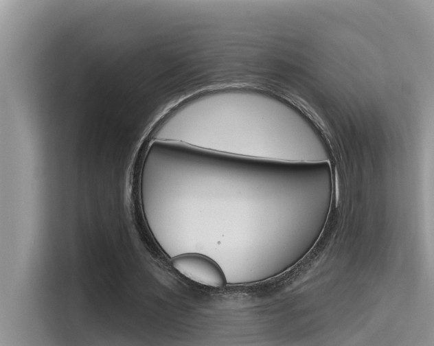 X0000115610483200911100935