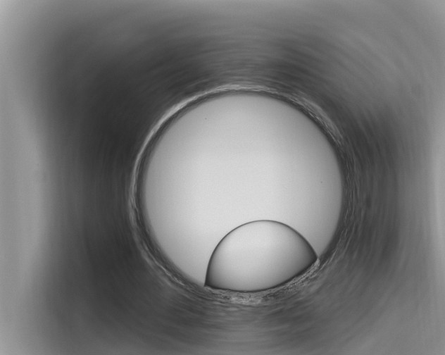 X0000115610484200911100935