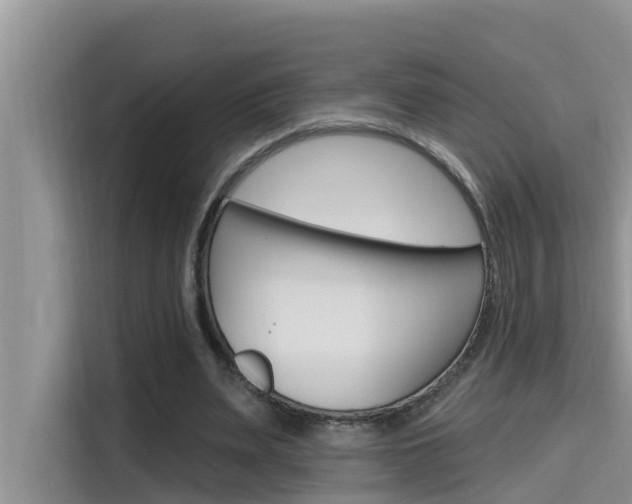 X0000115610487200911100935