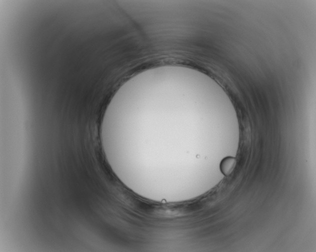 X0000115610498200911100934