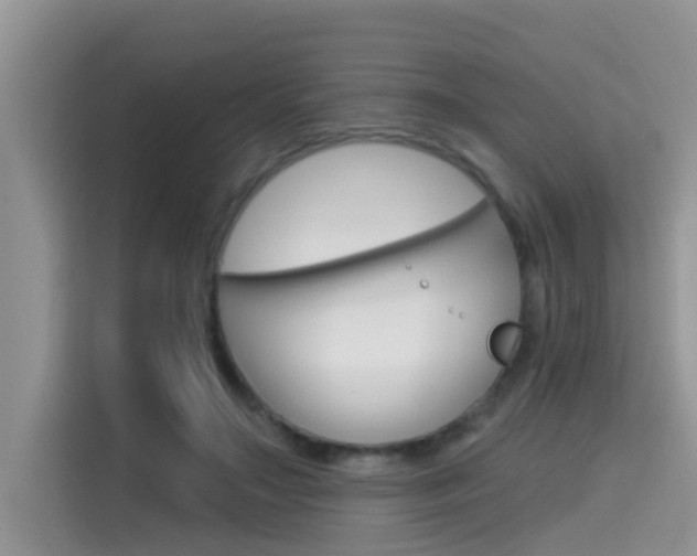 X0000115610499200911100934