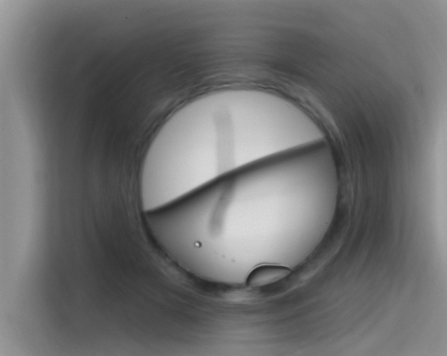 X0000115610505200911100934