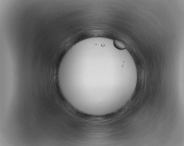 X0000115610507200911100934