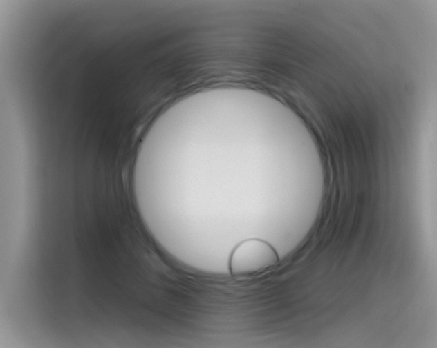 X0000115610508200911100934