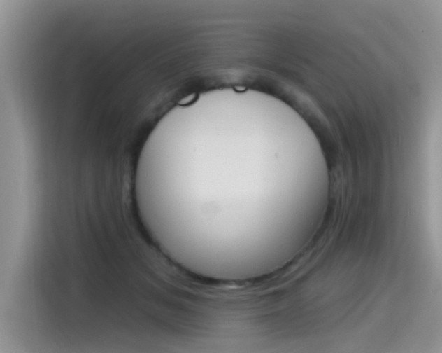 X0000115610509200911100934