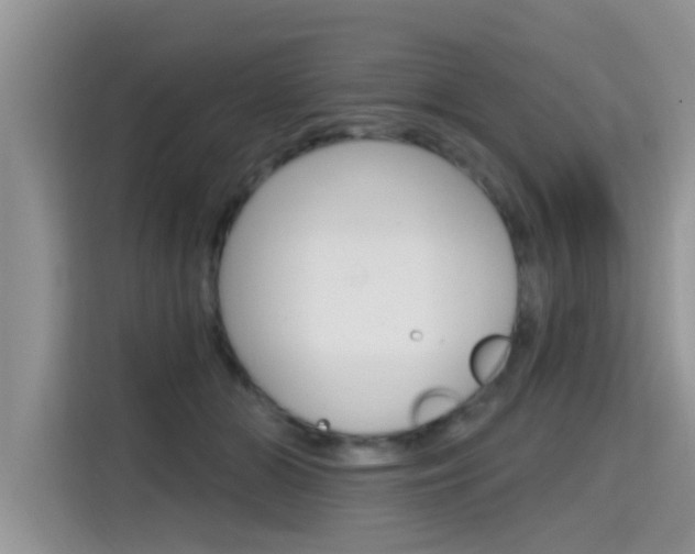 X0000115610510200911100934