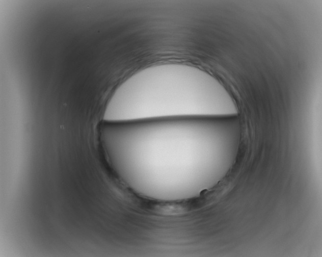 X0000115610512200911100934