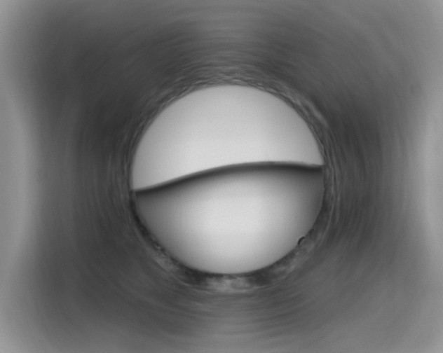X0000115610517200911100934