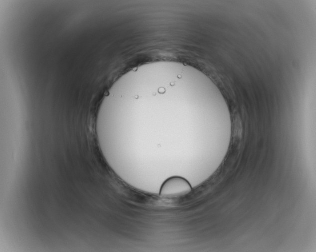 X0000115610518200911100934