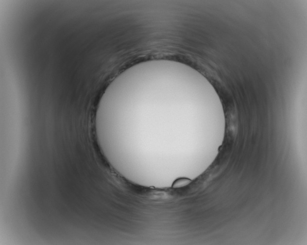X0000115610519200911100934
