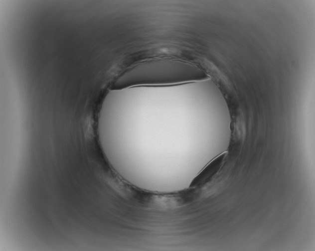 X0000115610520200911100934