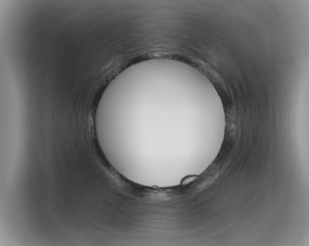 X0000115610523200911100934