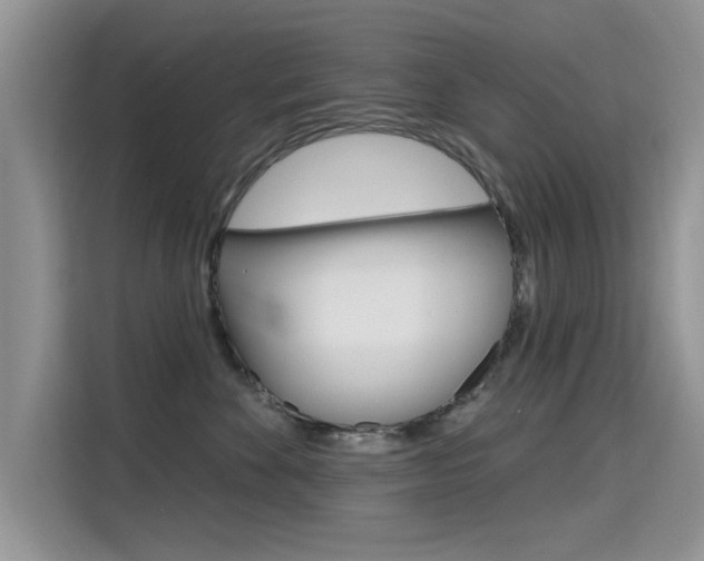 X0000115610524200911100934