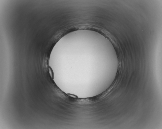 X0000115610525200911100934