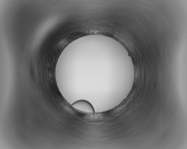 X0000115610526200911100934