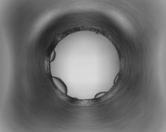 X0000115610527200911100934