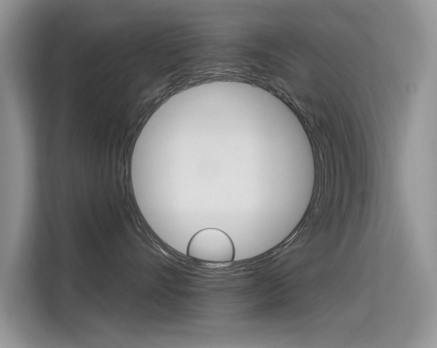 X0000115610528200911100934