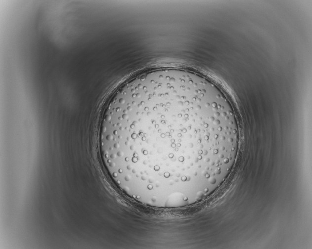 X0000115610529200911100933