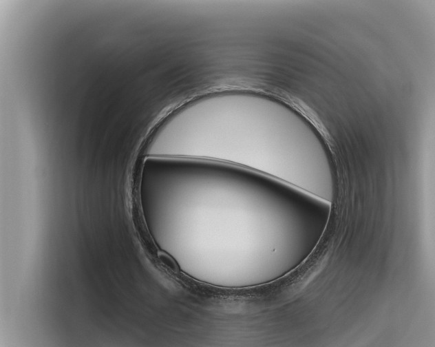 X0000115610530200911100933