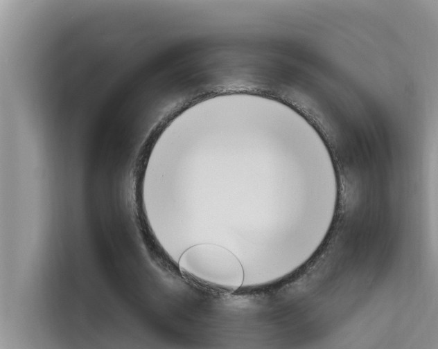 X0000115610534200911100933