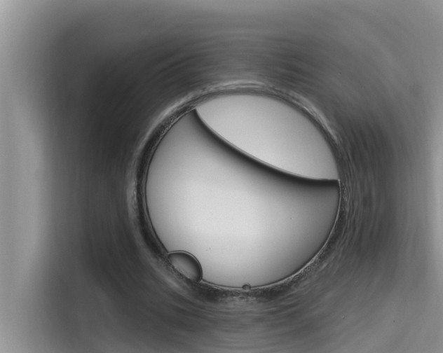 X0000115610535200911100933