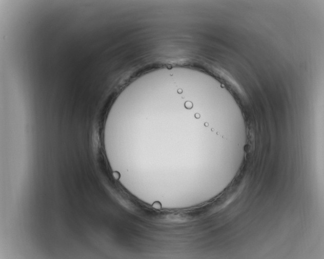 X0000115610541200911100934