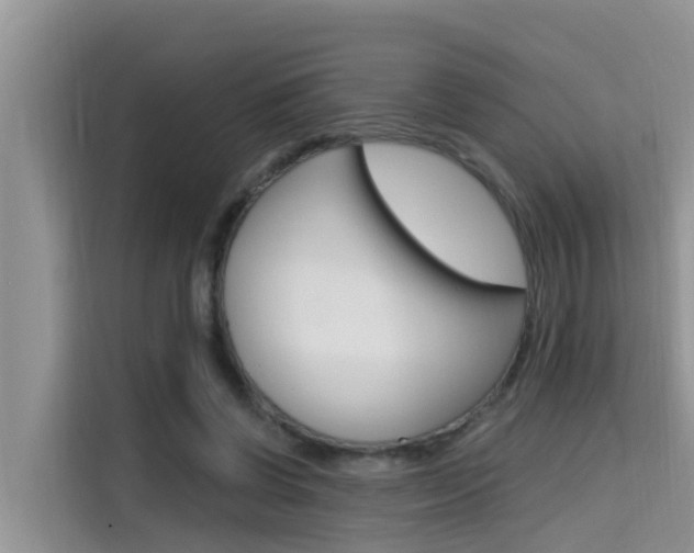X0000115610542200911100934