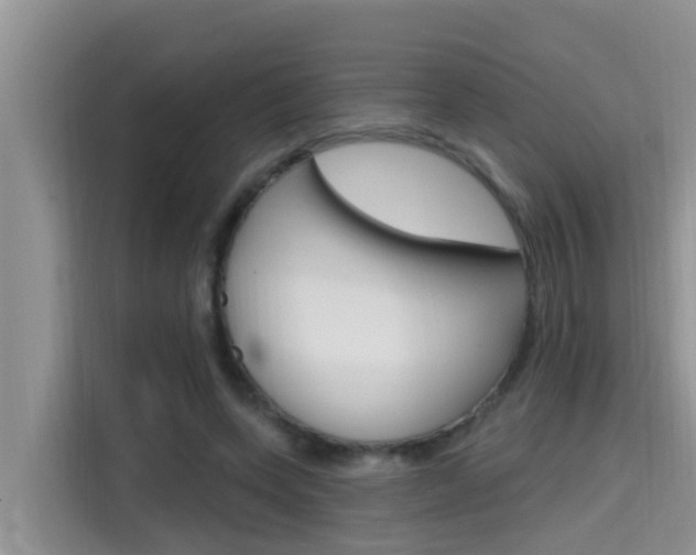 X0000115610543200911100934