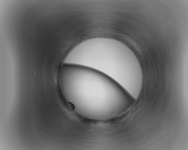 X0000115610546200911100934