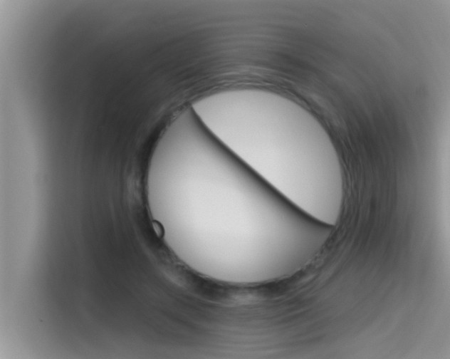 X0000115610547200911100934