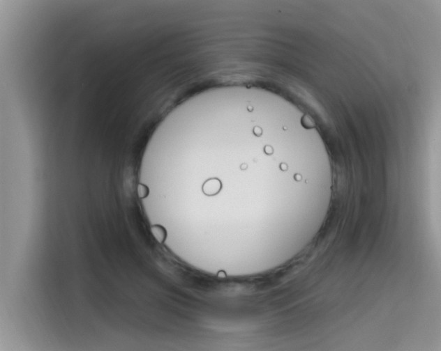X0000115610549200911100934